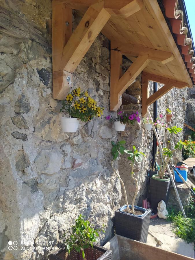 Massia Gasset Panzió Senterada Kültér fotó